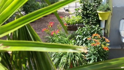 Imagen del anuncio: Haus-WG está buscando un compañero de cuarto Ü30