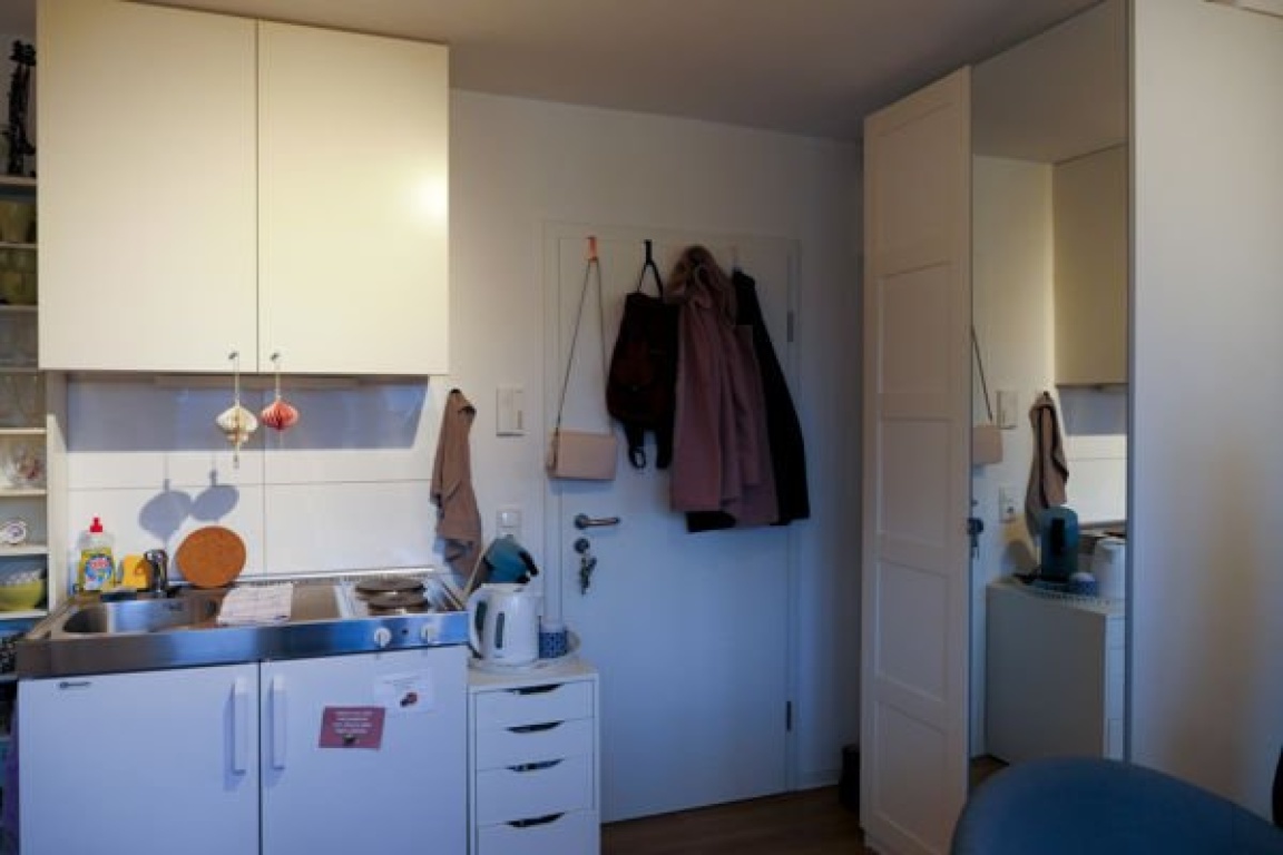 1-Zi - Appartement, von privat, direkt an der Universität - modernes, helles Appartement ca. 18 m2 mit Miniküche u. Duschbad – Stefan-Zweig-Strasse 2, 55122 Mainz Hartenberg/Münchfeld – Vorschaubild 6
