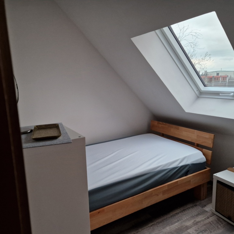 Habitación en WG Schwabach Konrad-Adenauer-Straße - Schlafraum