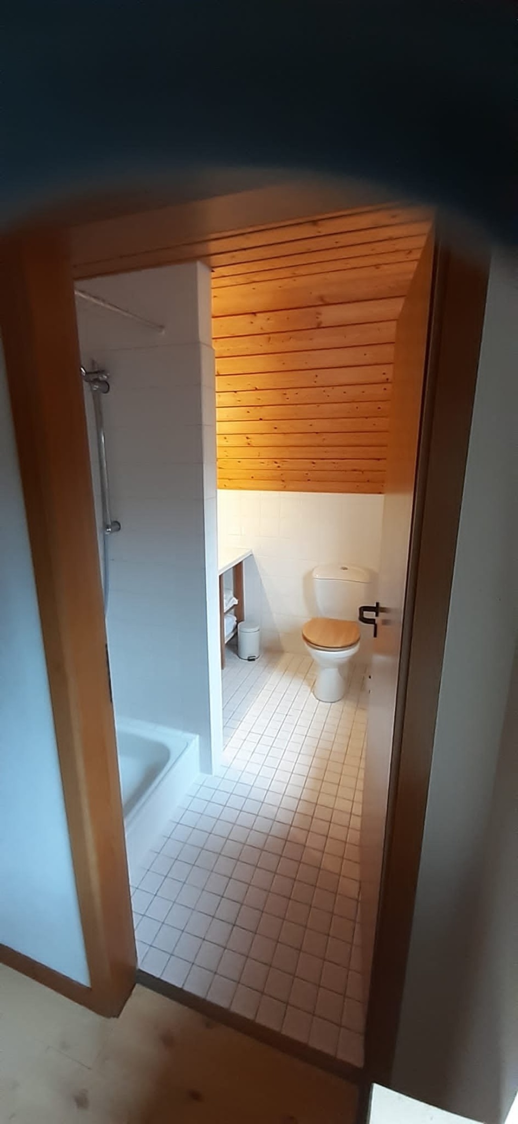 Wohnung Lokstedt Liethwisch - Tageslicht-Badezimmer (OG)