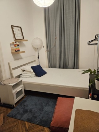 Imagen del anuncio: Stadtkern WG Puzzelteile 😇all included, also food ;)