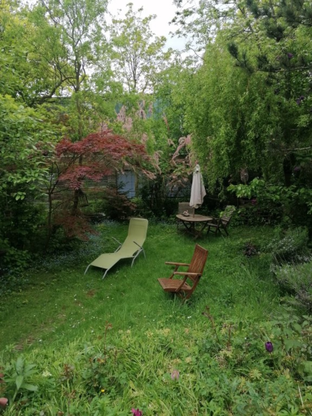Wohnung Dornbusch Nähe Dornbusch, Sinai Park - Bild 17