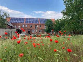 Ad image: Zweitwohnsitz in der Altmark - Sonnige, lichtdurchflutete Wohnung in wunderschöner Gutshof WG