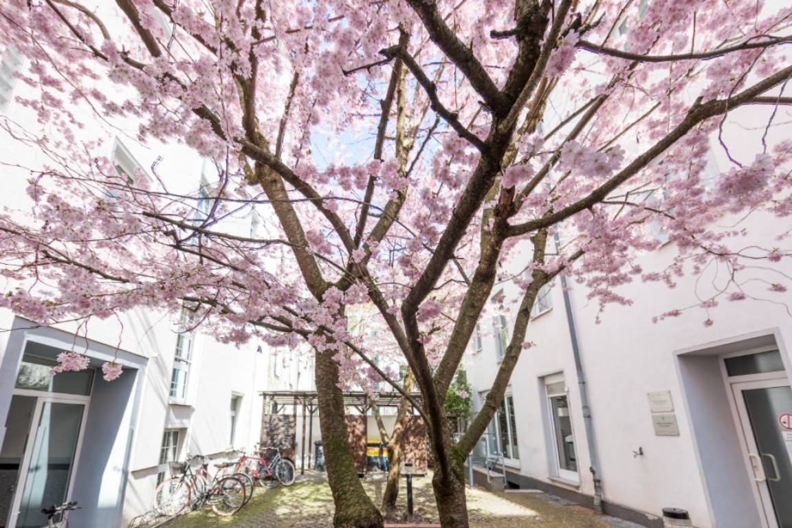 Great opportunity - apartment in great location – Knaackstrasse 86, 10435 Berlin Prenzlauer Berg – Vorschaubild 9
