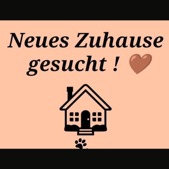 Ad image: Mietwohnung gesucht für W 23J.