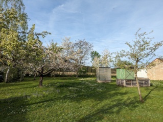 Imagen del anuncio: WG Zimmer 14,5m2