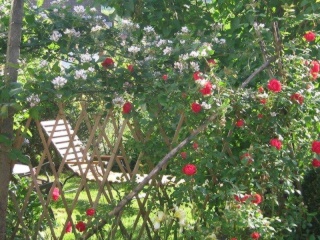 Imagen del anuncio: Kleines familiäres Wohnprojekt/HausWG sucht 2-3 Mitmacherinnen - - FR-Umland - -