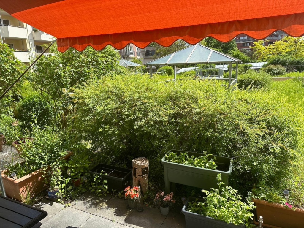 1-Zimmer-Wohnung Brühl Eichendorff Straße 7 - Bild 12