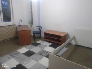 Anzeigenbild: ruhiges Single Apartment
