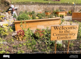 Imagen del anuncio: Zwei Schlafmöglichkeiten mit riesigem Community-Garden
