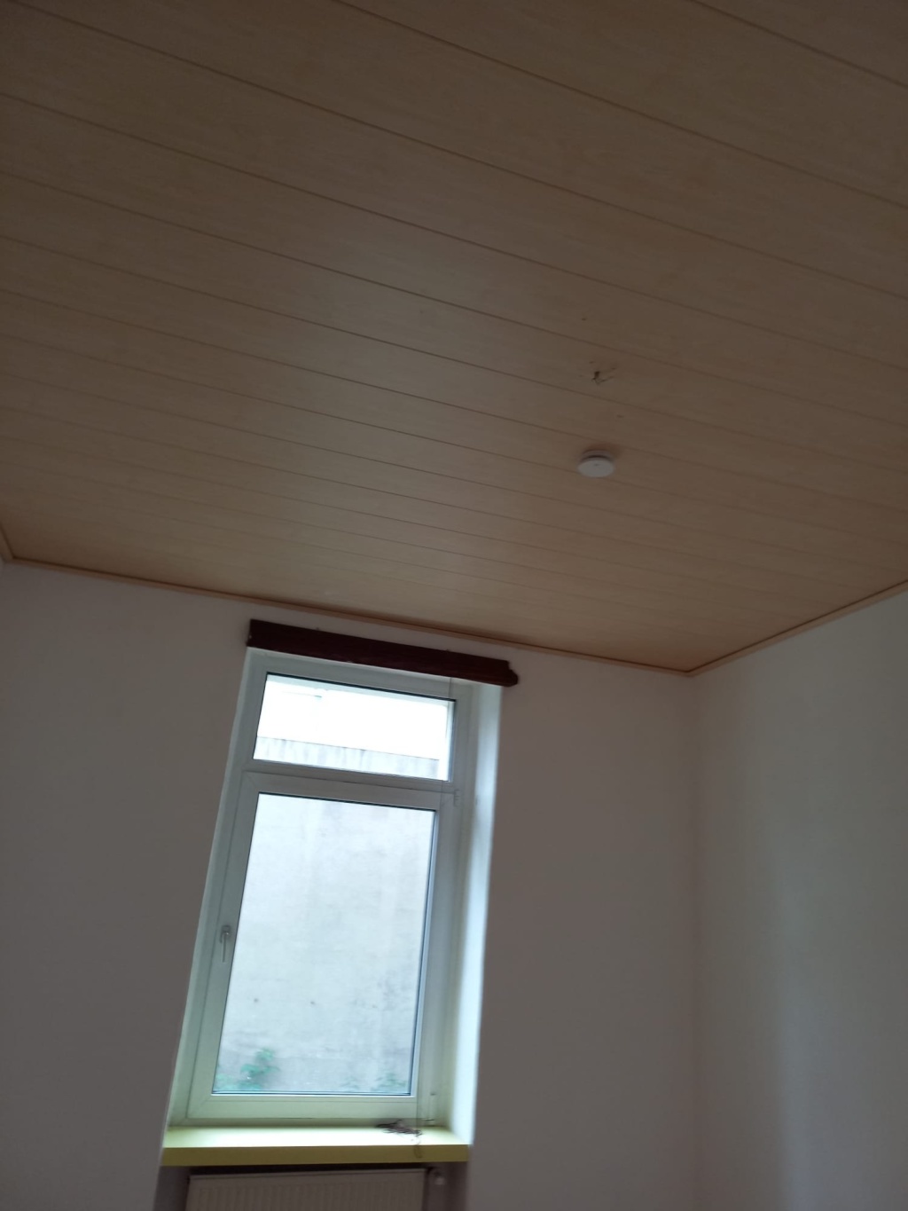 Wohnung stliches Ringgebiet Andreeplatz 2 - Deckenansicht