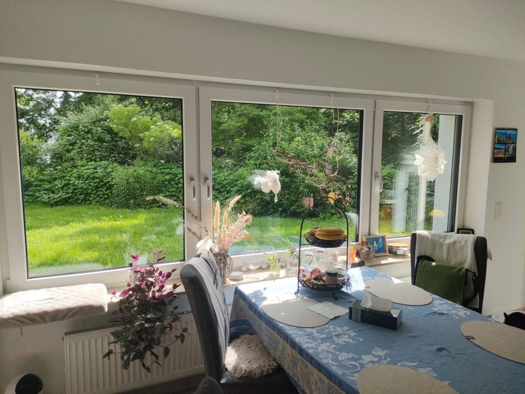 WG-Zimmer Schönberg Am Seeberg - Gemeinschaftsküche