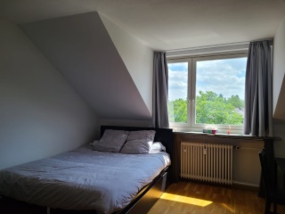 Großes und helles WG-Zimmer, zentrale Lage / only femals