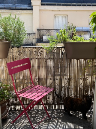 Ad image: Helles möbliertes Zimmer in deutsch-französischer Familie
