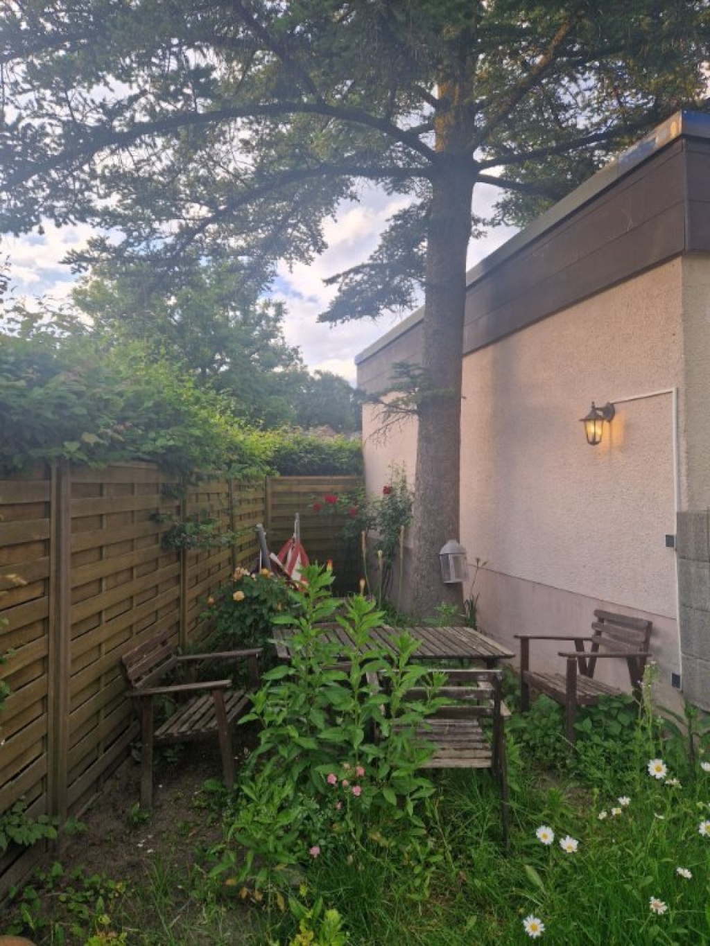 WG-Zimmer Berg Fidel Mazzottistraße - Garden