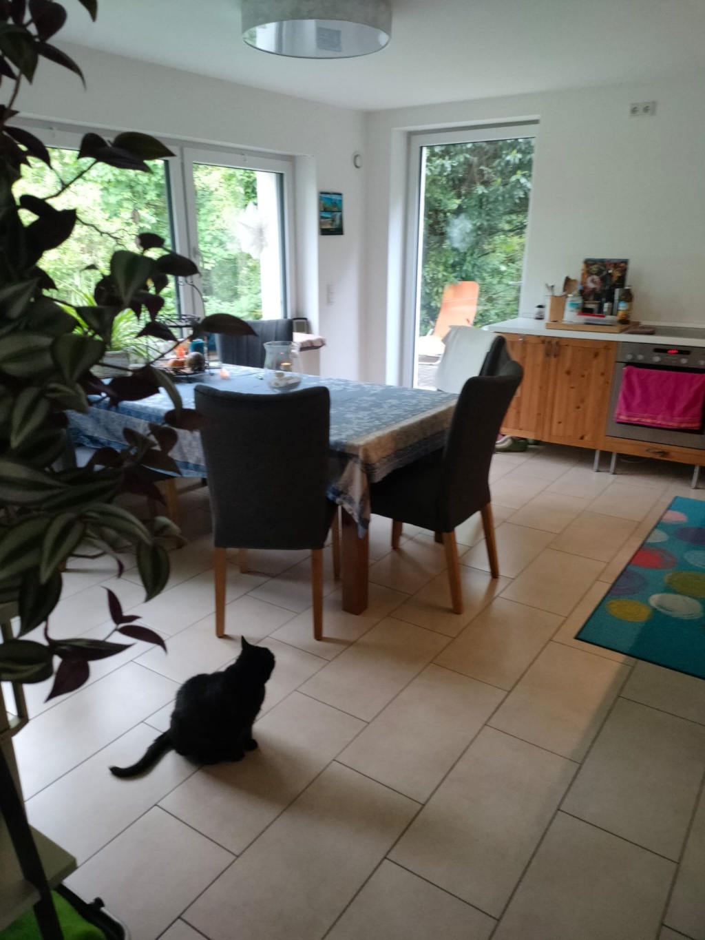 WG-Zimmer Schönberg Am Seeberg - Küche mit Cleo