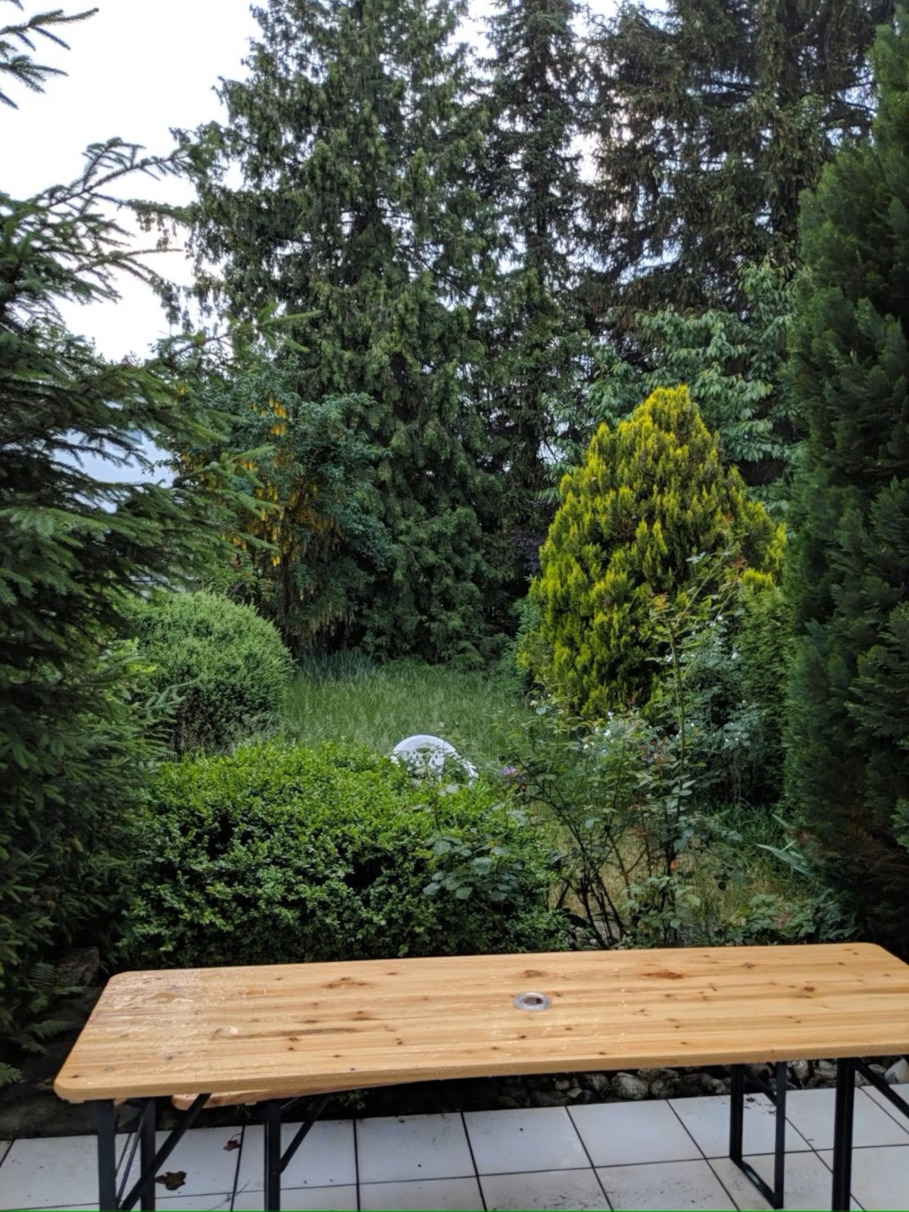 WG-Zimmer Trudering Rotkehlchenweg - Bild 12