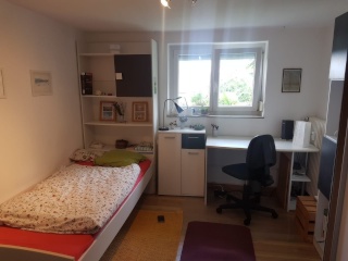 Ad image: Intermediate rent: August -Mitte October: Small but fine furnished room with separate shower/kitchen