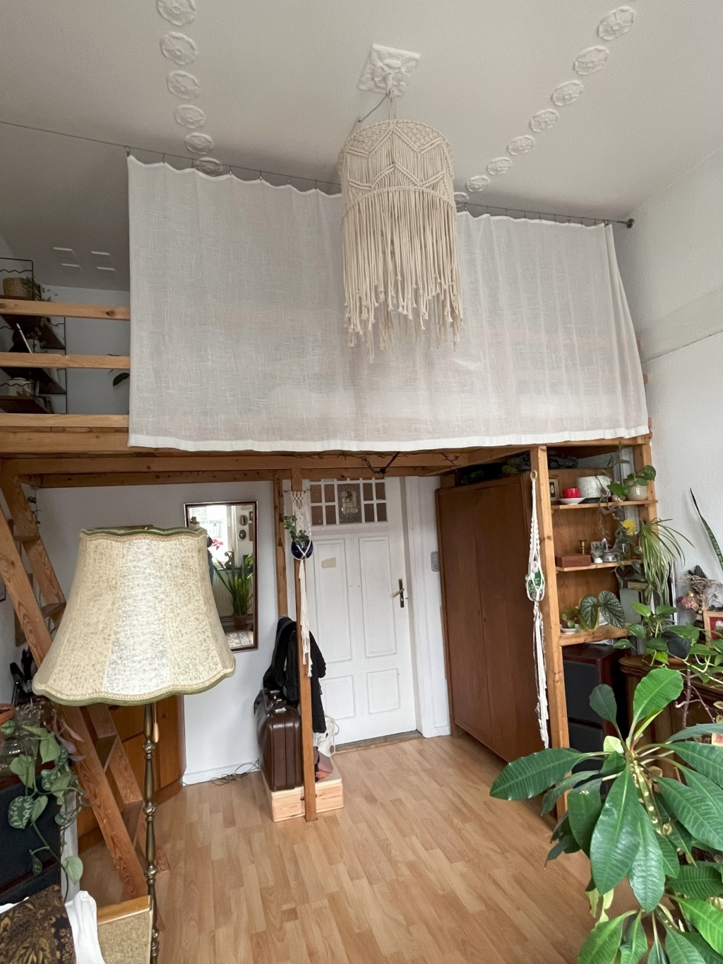 WG-Zimmer Alte Neustadt Donaustraße - Dein Zimmer