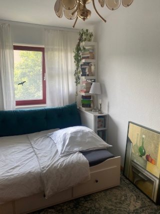 Anzeigenbild: Zimmer in großer, lichtdurchfluteter WG in der Nähe der Innenstadt zur Untermiete