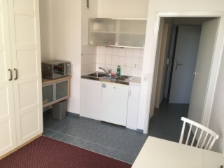 Anzeigenbild: 1-Zimmer Appartement in Altenholz, möbliert