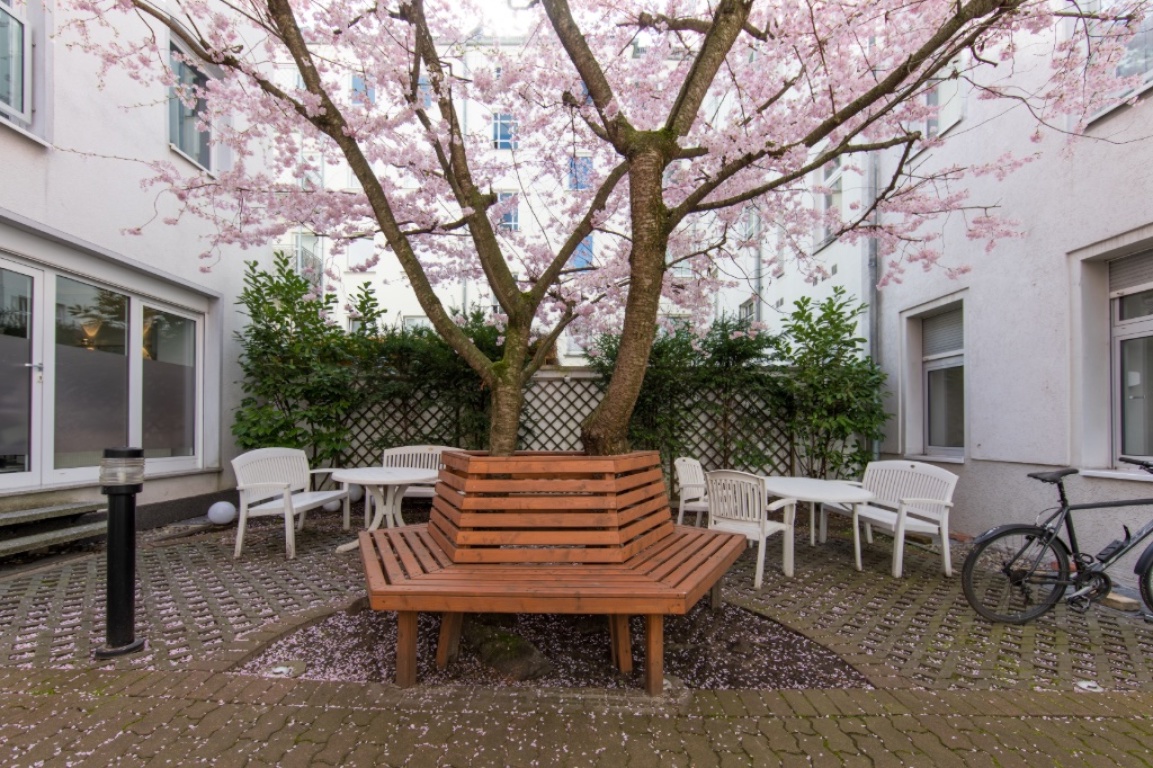 Pefekte Wohnung ab September – perfect apartment available from September - great location – Knaackstrasse 86, 10435 Berlin Prenzlauer Berg – Vorschaubild 9