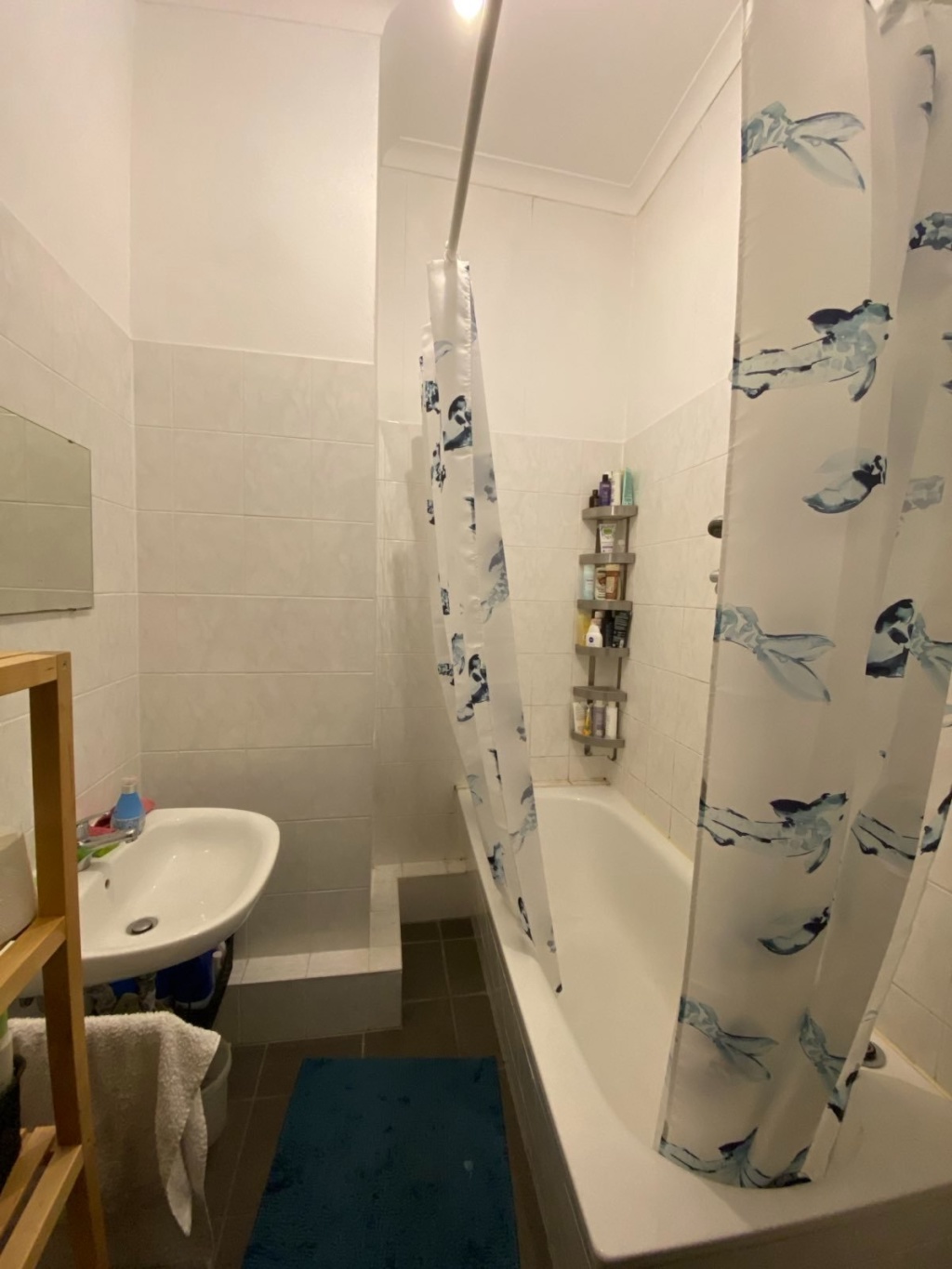 WG-Zimmer Zentrum-Süd Dimitroffstr., 28 - shower