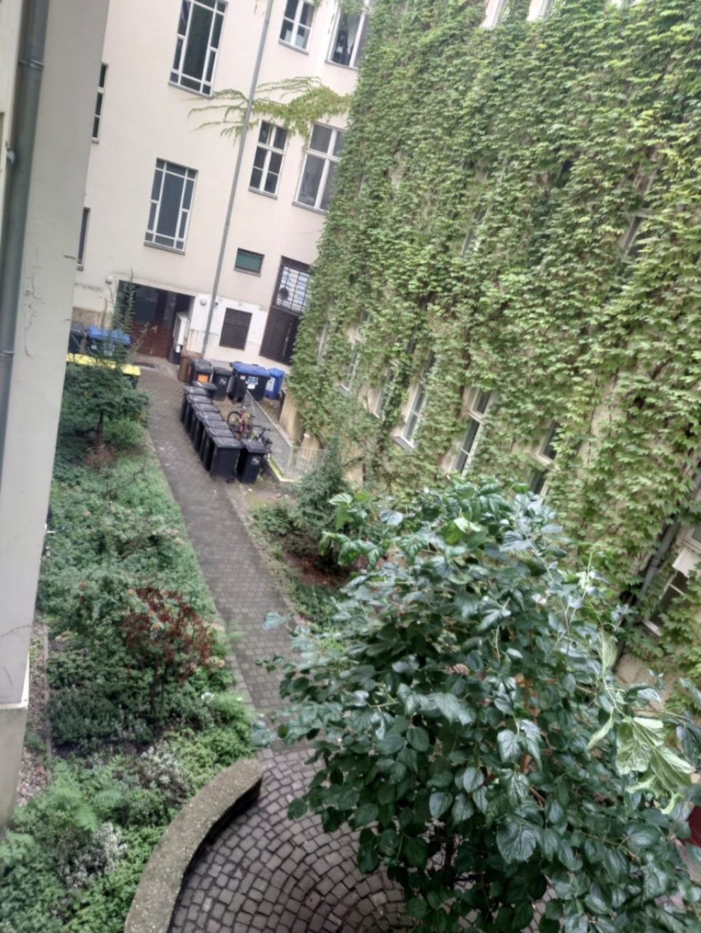 Wohnung Mitte Oranienburger Str. - Bild 14