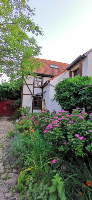 Anzeigenbild: Herzliche Wohngemeinschaft in schönem Fachwerkhaus im Grünen sucht Mitbewohnerin ab August/September