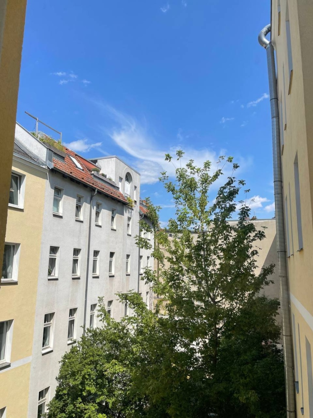 Cozy, quiet studio in Kreuzberg, 03 - 07 SEP – Körtestraße, 10967 Berlin Kreuzberg – Vorschaubild 14