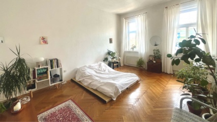 Imagen del anuncio: helles Zimmer mit Parkett in 4er WG im Herzen von Favoriten