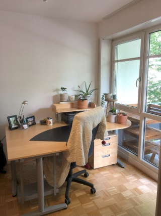 Anzeigenbild: Helles 1-Zimmer-Apartment im Regensburger Westen ab dem 15.08.2026