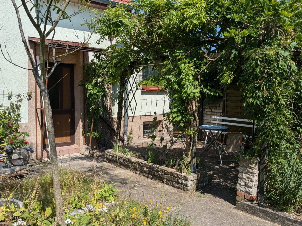 Flatshare Eberswalde-Ostende Sommerfelder Str 19 - Garten