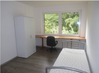 Ad image: Gemütliches und helles Appartement mit Singleküche