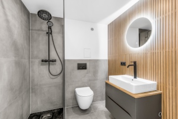 Ad image: Completely renovated 2 rooms apartment