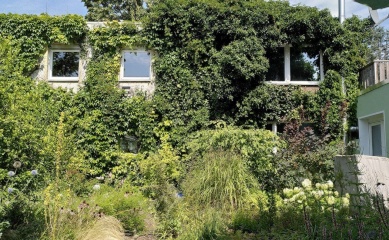 Ad image: WG Room Linde "Blick in the Green"