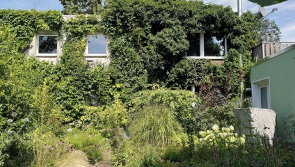 Ad image: WG Room Hainbuche "Blick in the Green"