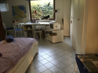 Imagen del anuncio: Acogedor apartamento estudio nh. Hamburgo amueblado en Wentorf cerca de Hamburgo, jardín con uso, conveniente y verde. Bienvenido a un perro amistoso. Lavadora