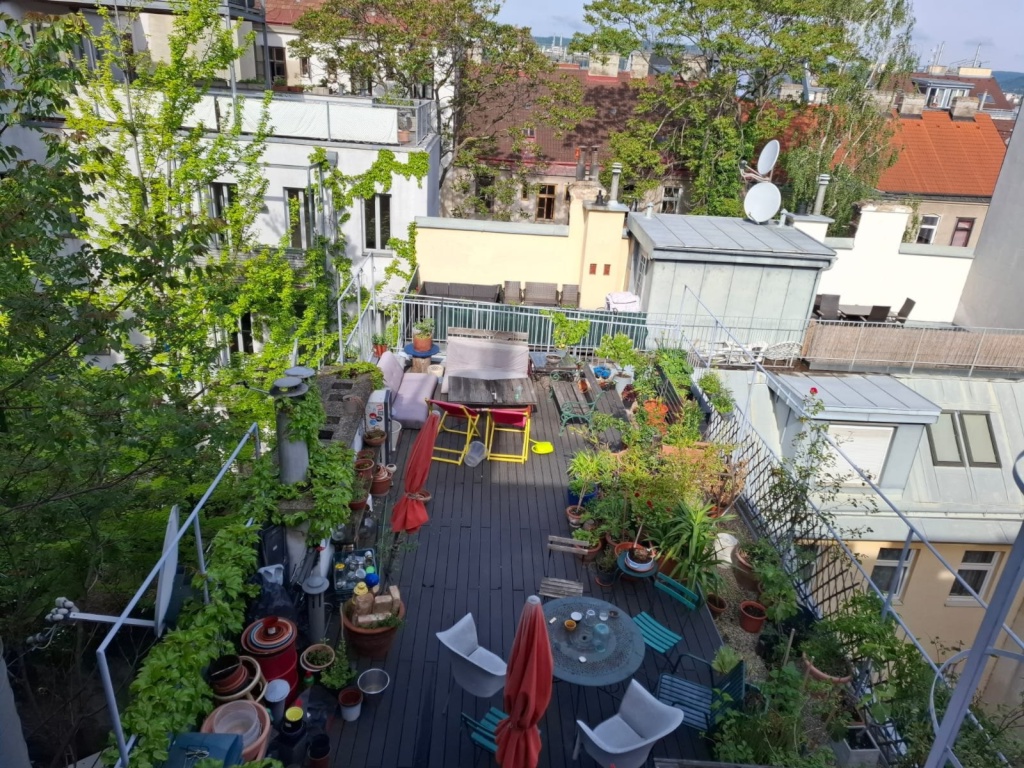 WG-Zimmer 16. Bezirk Ottakring Liebhartsgasse - Terasse von oben
