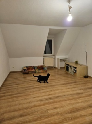 Ad image: WG-Zimmer in Maisonette Wohnung zu vermieten