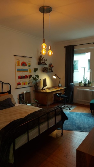 Anzeigenbild: Großes Zimmer in gemütlicher Altbau-WG ab Mitte Mai oder Anfang Juni