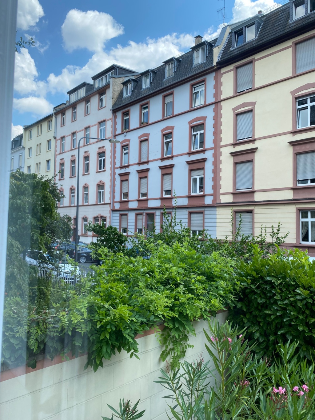 Mitbewohnerin Gesucht, Möb. Wohnung im Nordendost, Frankfurt (Verfügbar 4 Monate) – 60389 Frankfurt am Main Frankfurt am Main – Vorschaubild 11