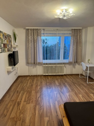 Anzeigenbild: 1room apartment for 2 persons
