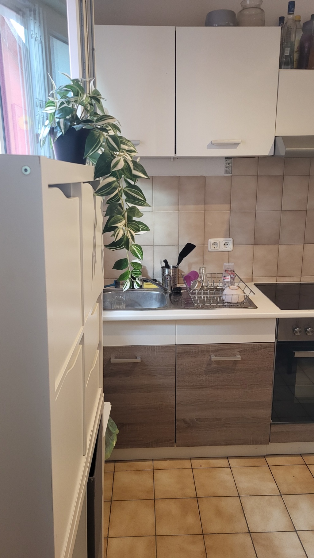 Flatshare Bad Cannstatt Veielbrunnenweg 84 - Küche