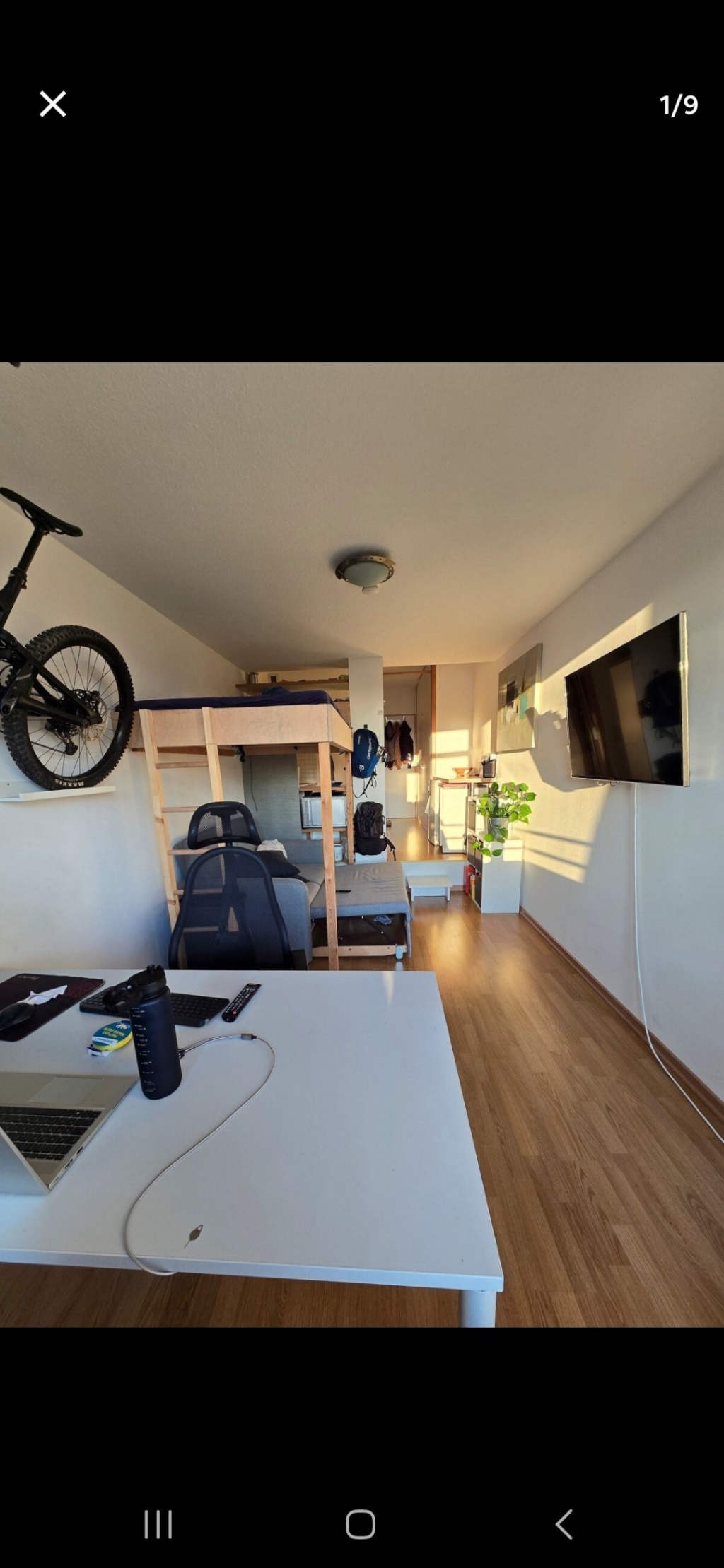 Einzimmerwohnung Zwischenmiete Maxvorstadt Oktober - November