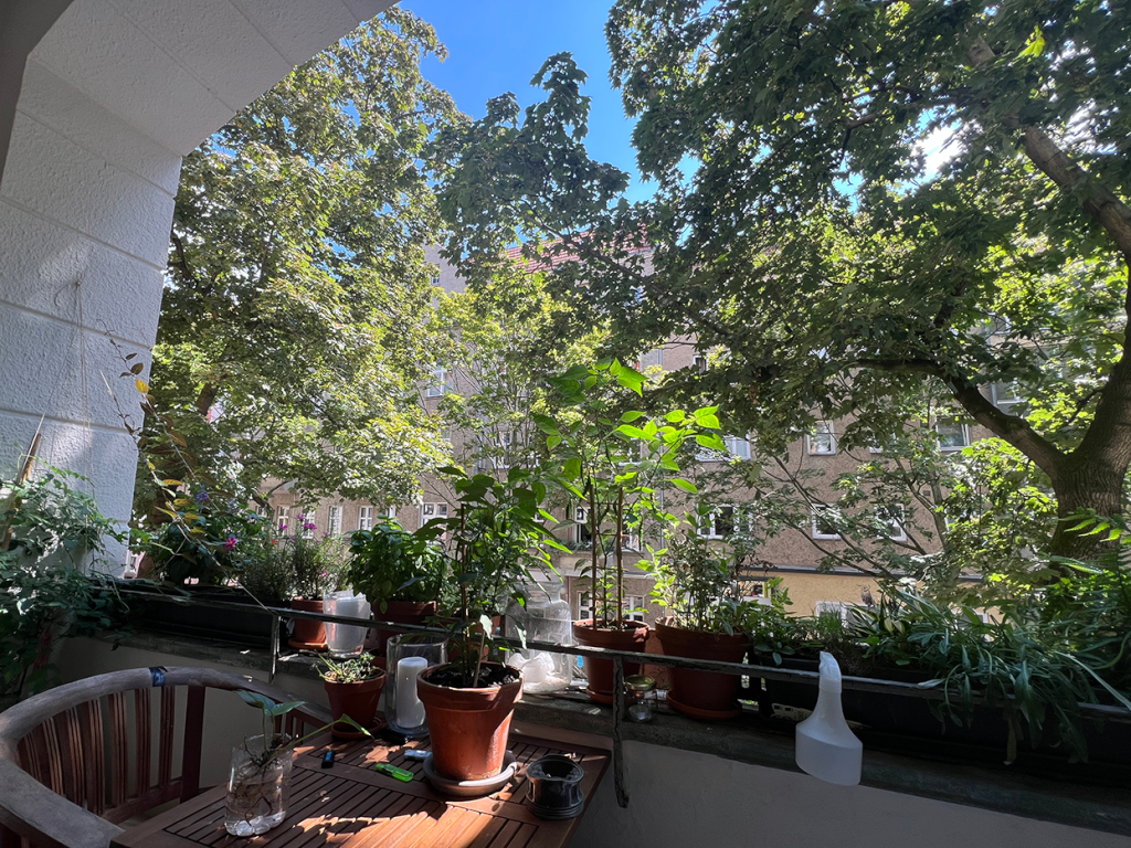 Flatshare Neukölln Leykestraße - Balkon / Lodgia