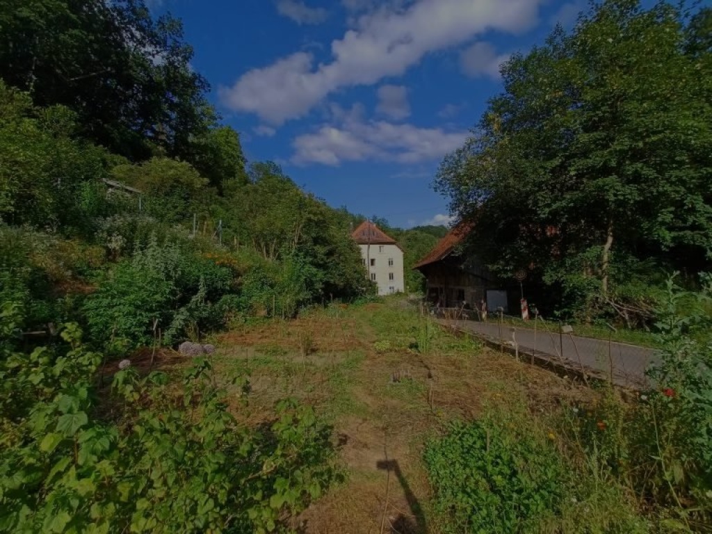 WG-Zimmer Tengen Schwarzwaldstr. - Bild 1