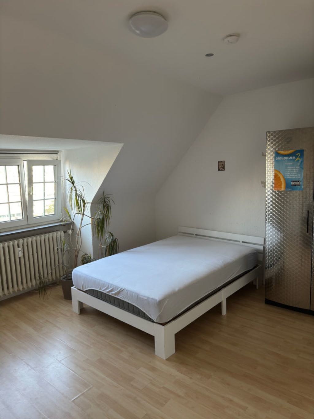 Flatshare Mitte Im Kaisemer 15 - picture 3