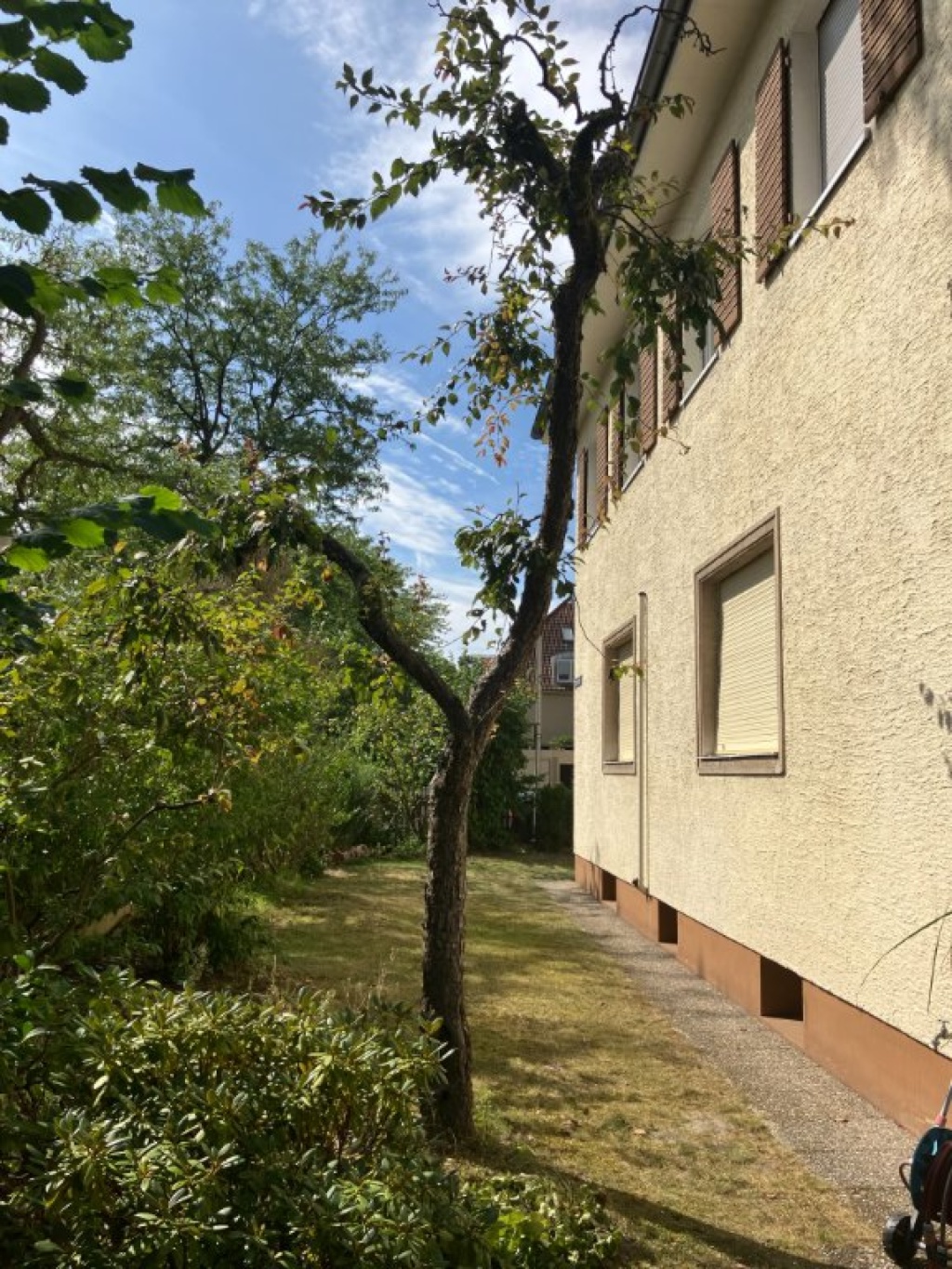 WG-Zimmer Innenstadt Zeppelinstraße - Vorgarten Ostseite