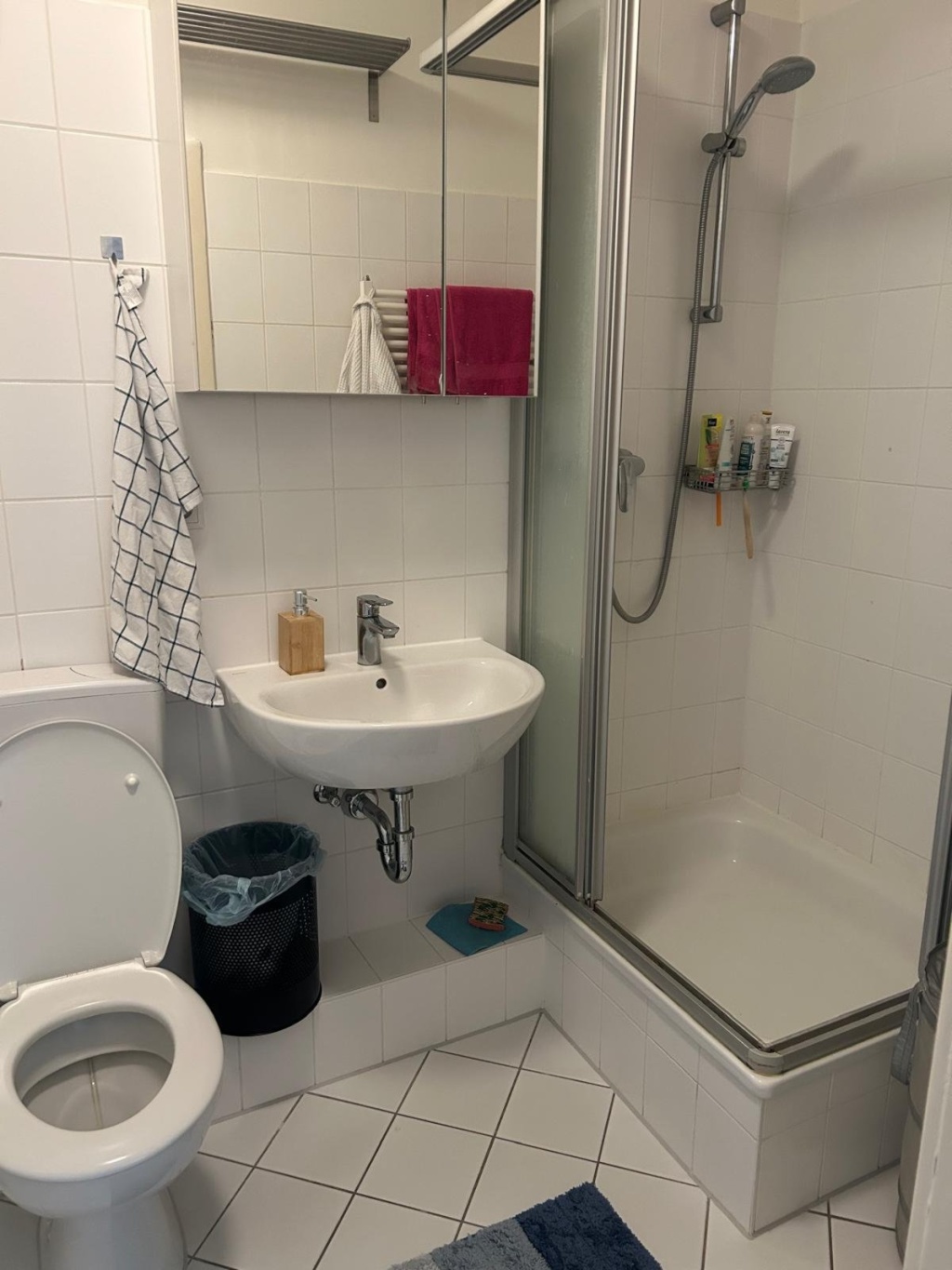 Schöne 2-Zimmer Wohnung in Uhlenhorst (Mundsburg) zur Zwischenmiete – Immenhof, 22087 Hamburg Uhlenhorst – Vorschaubild 4